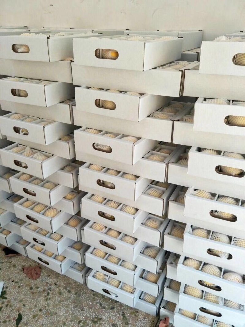 湖南炎陵黄桃基地直销，欢迎团购电商批发合作