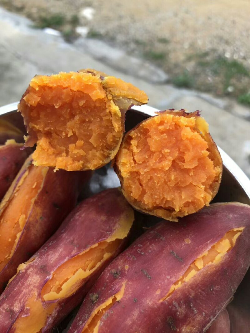 西瓜红薯