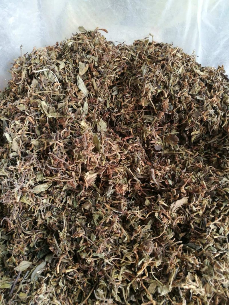 野金银花，自然生长，入药泡茶**，无任何添加。