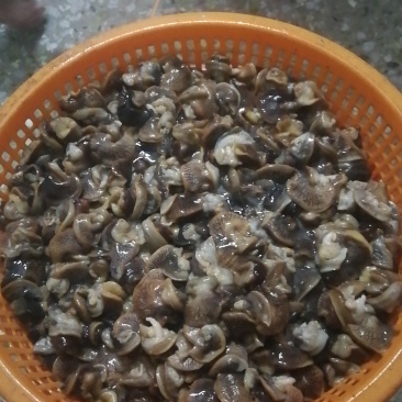 蜗牛肉