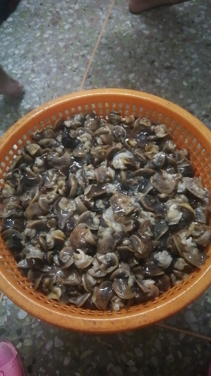 蜗牛肉