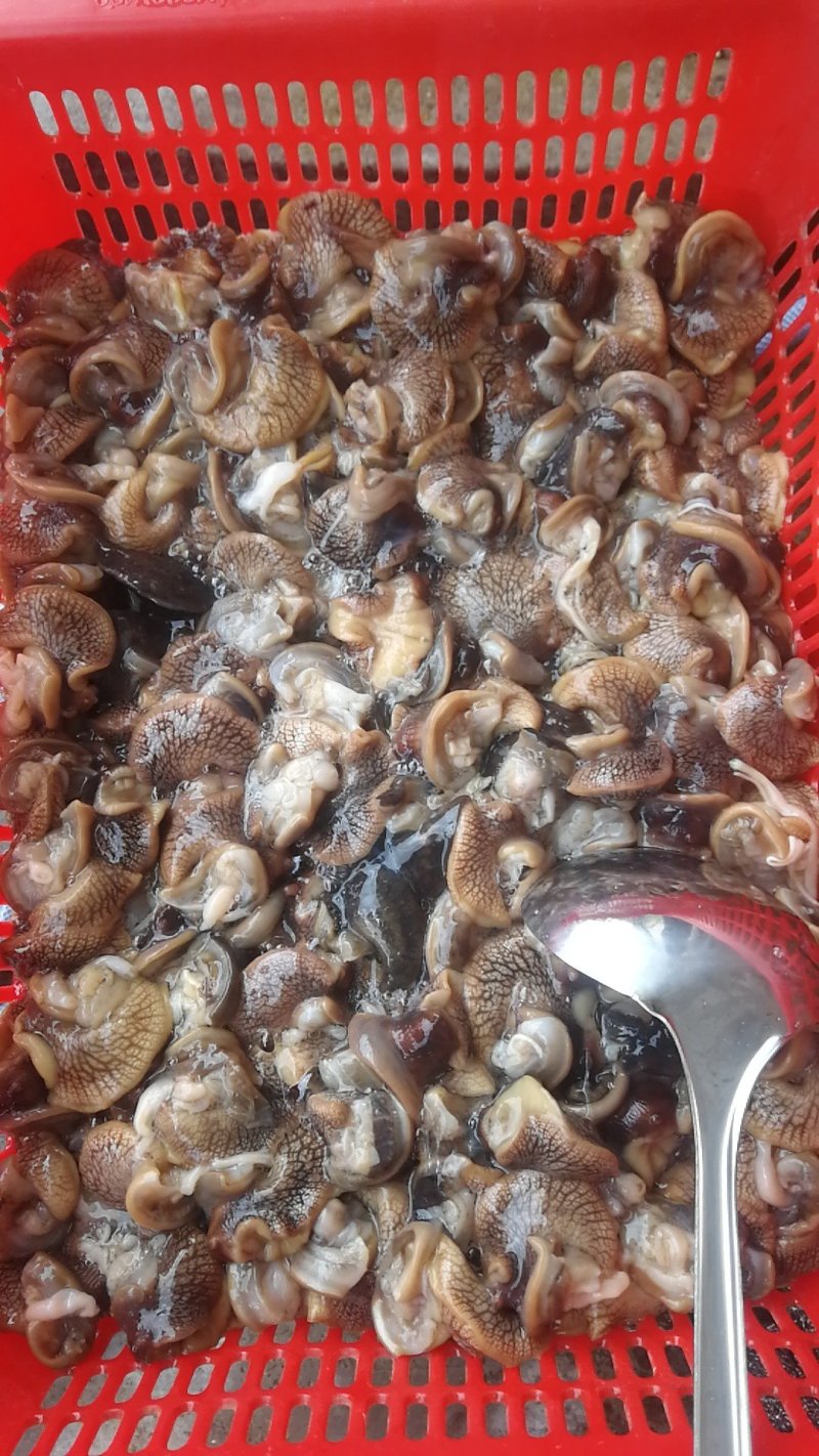 蜗牛肉