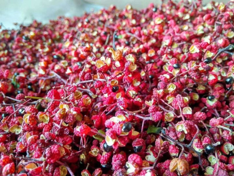 汉源清溪花椒，清溪娃娃椒，正宗清溪花椒清溪贡椒