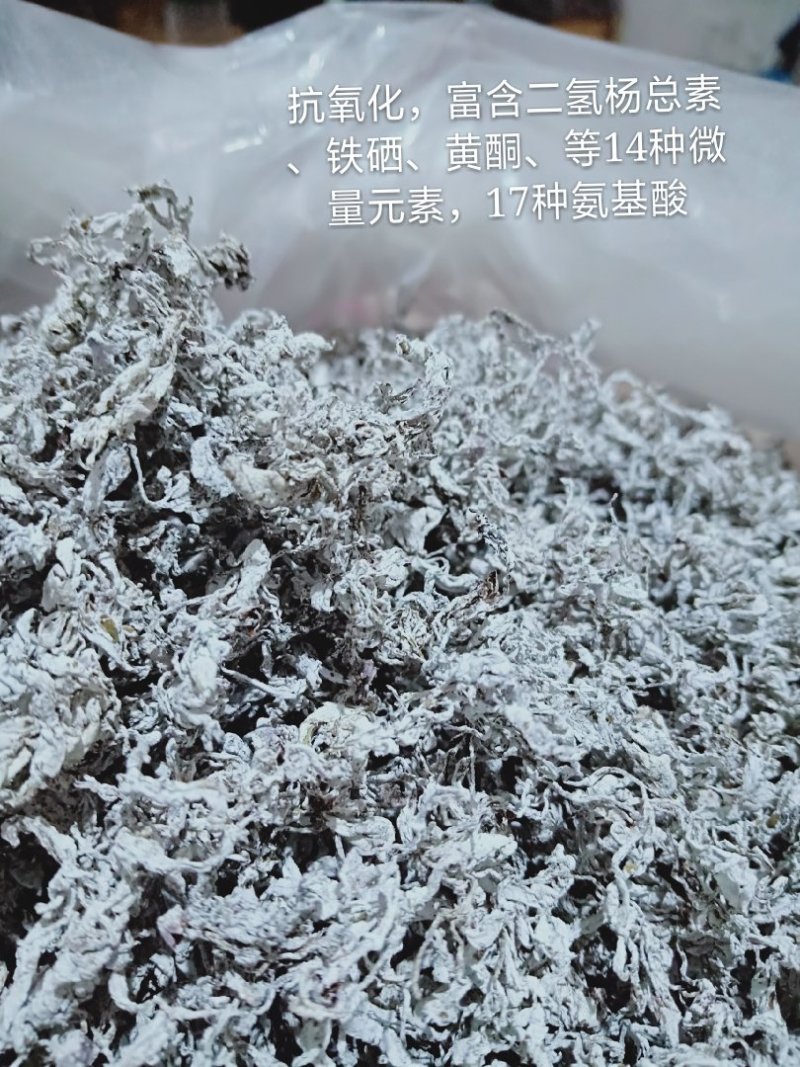 张家界原产野生藤茶嫩芽