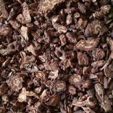 羌活四川条羌活蚕羌活各种规格批发零售大货批发零售