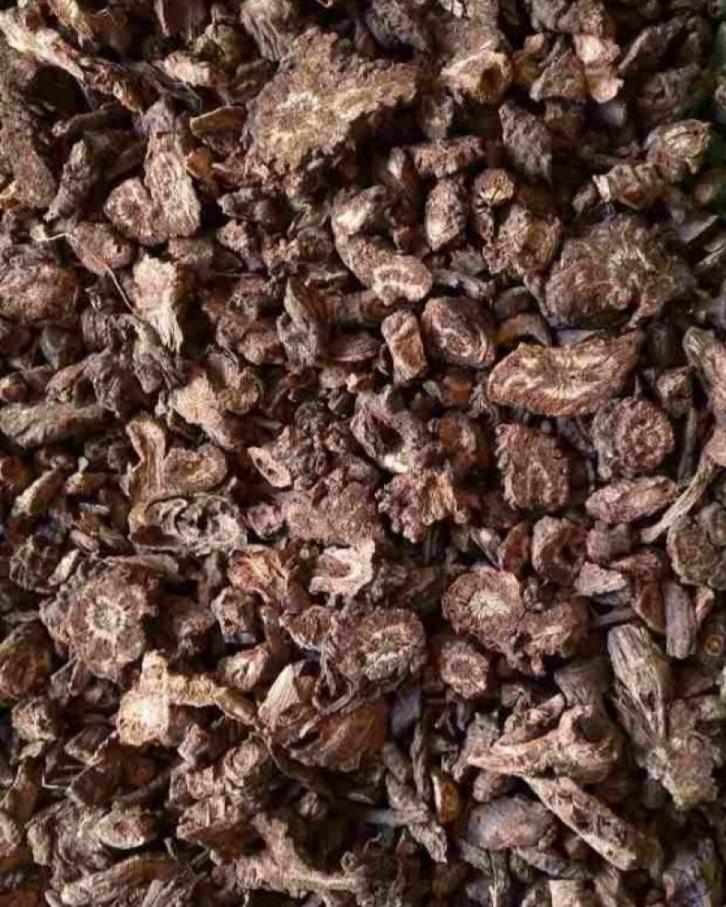 羌活四川条羌活蚕羌活各种规格批发零售大货批发零售