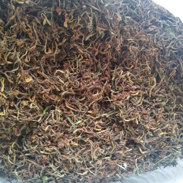 野生金银花