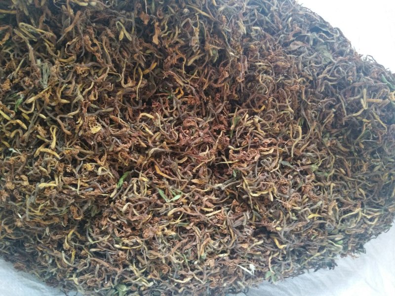 野生金银花