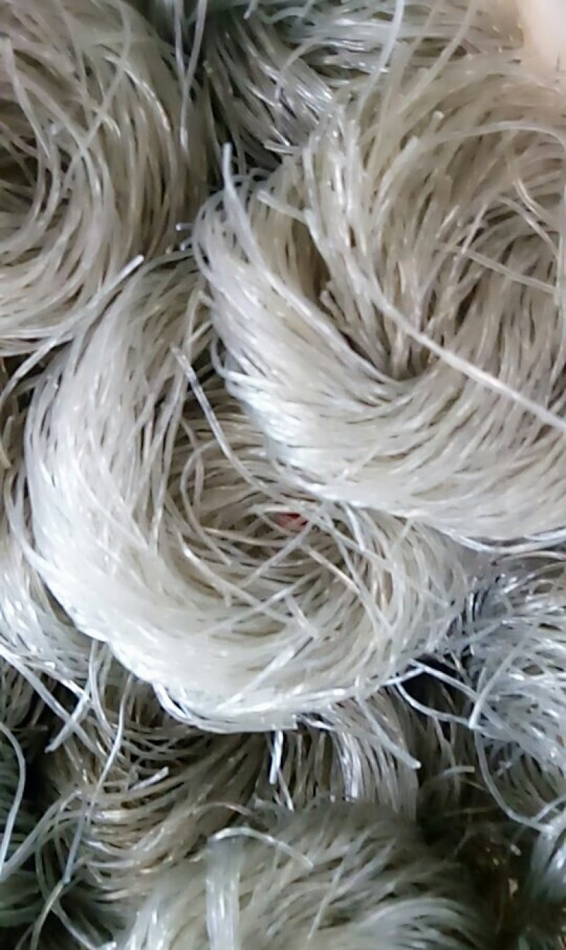 粉丝，基粉。