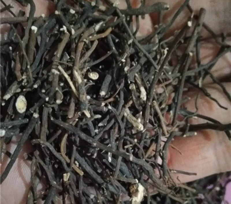 威灵仙东北新货威灵仙水洗货统个正品威灵仙含量达标