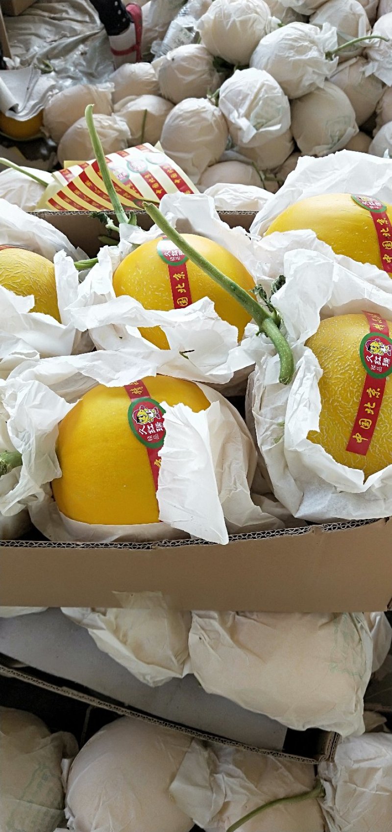 精品九红瑞，产地直供，颜色好，口感好，品质好质量好