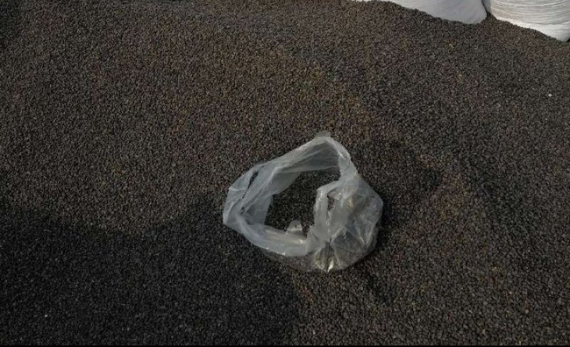 正品女贞子随时有货全网低价品质实惠双重优惠