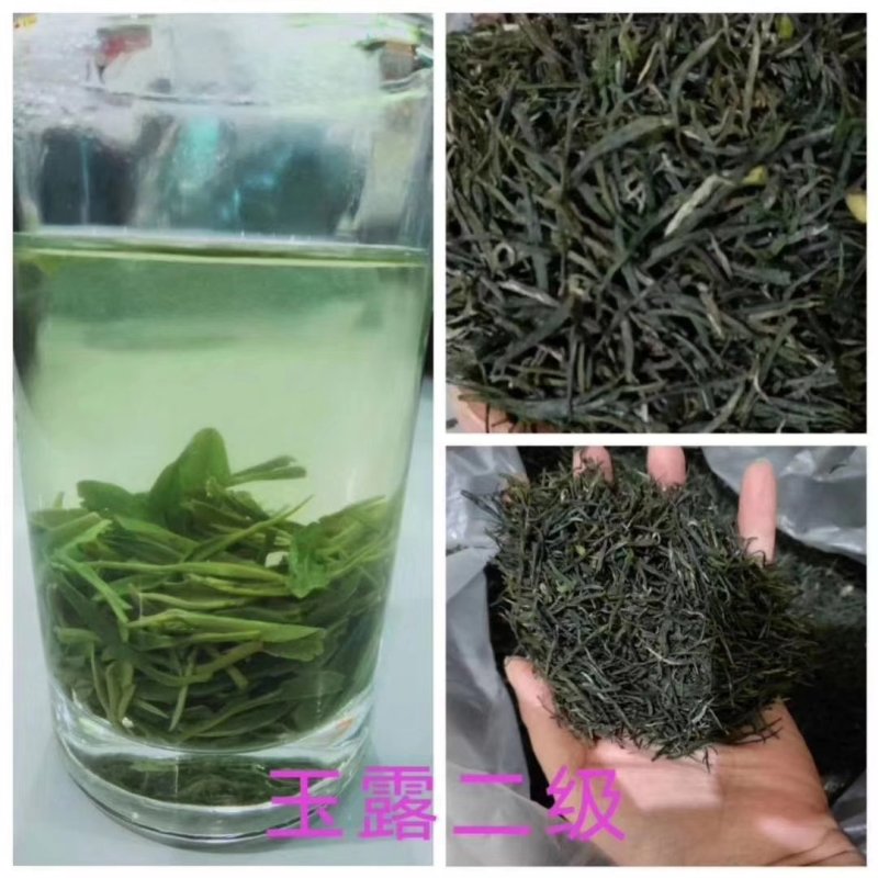 恩施富硒绿茶恩施玉露绞股蓝富硒藤茶
