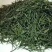 恩施富硒绿茶恩施玉露绞股蓝富硒藤茶
