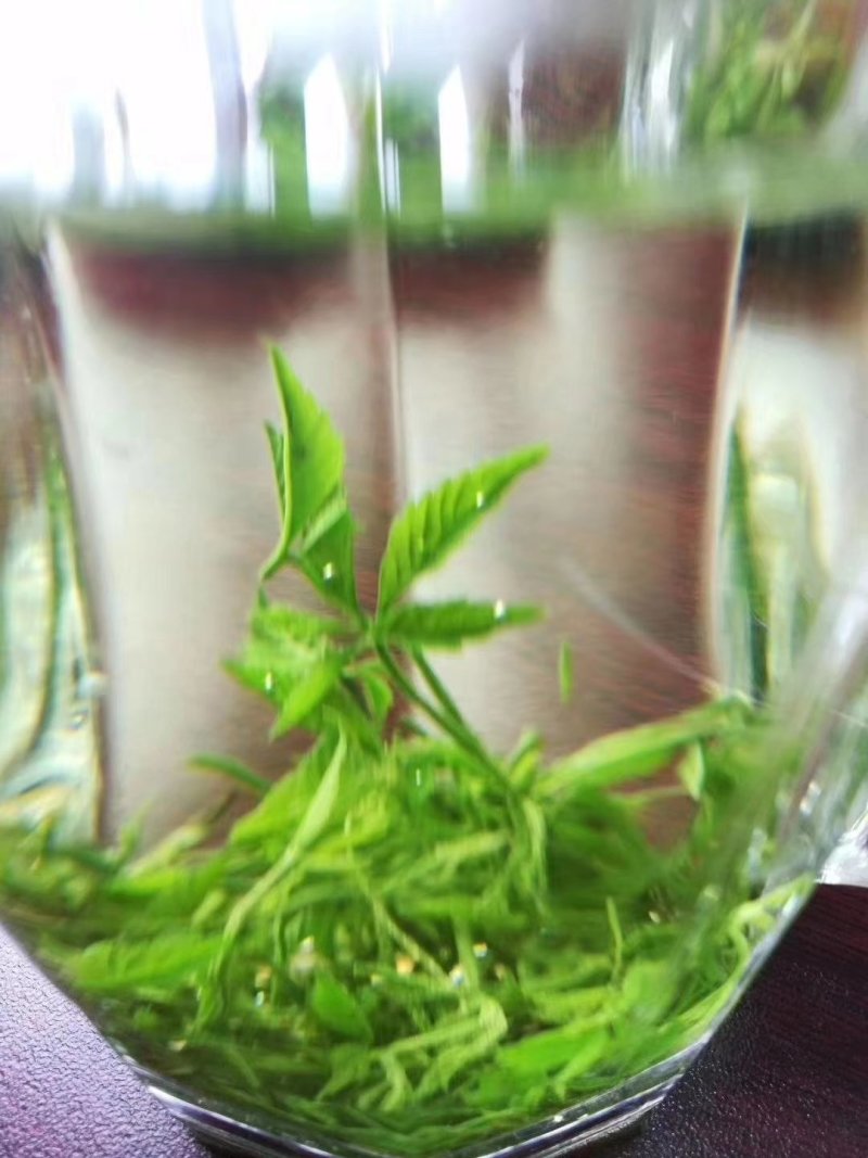 恩施富硒绿茶恩施玉露绞股蓝富硒藤茶