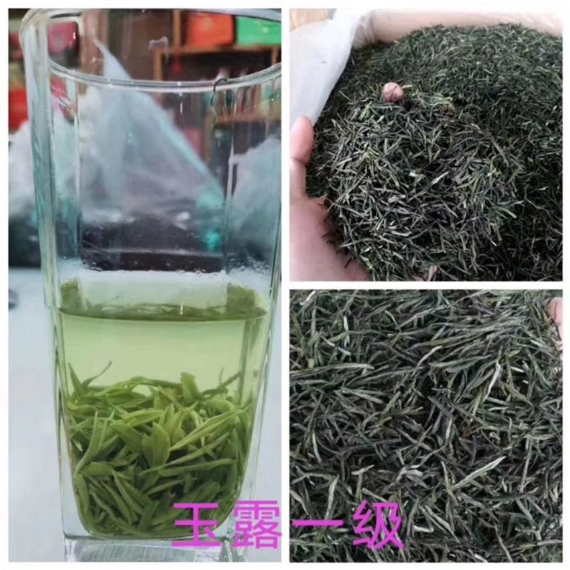 恩施富硒绿茶恩施玉露绞股蓝富硒藤茶