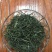 恩施富硒绿茶恩施玉露绞股蓝富硒藤茶