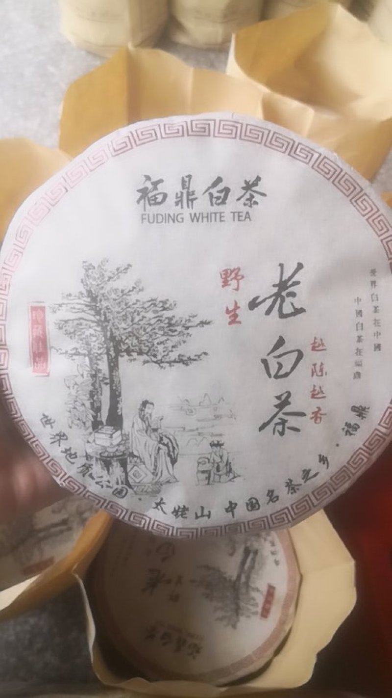 福鼎白茶大毫，老白茶16年350克饼，口感好，性价比高