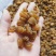 小鲍鱼干400头一斤