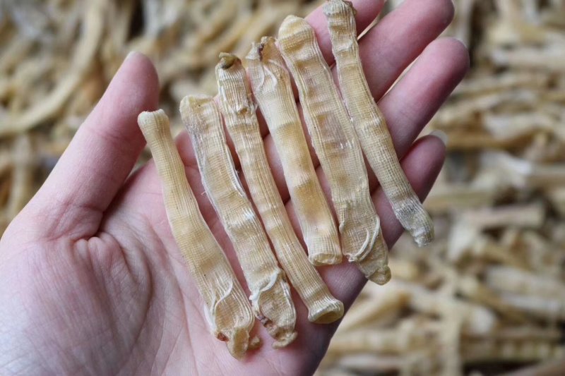 沙虫干小号