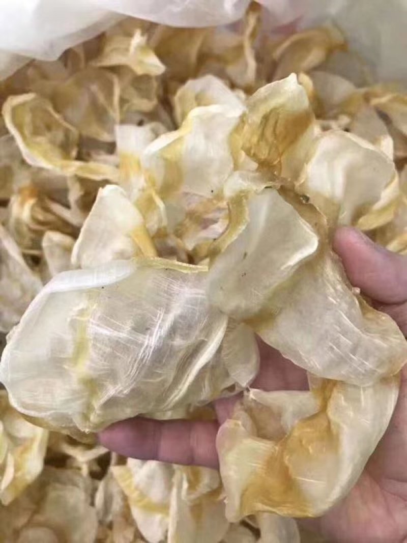 鱼胶红鱼