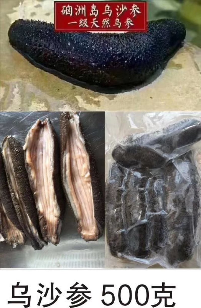 硇洲天然乌沙参