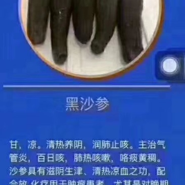 硇洲天然乌沙参