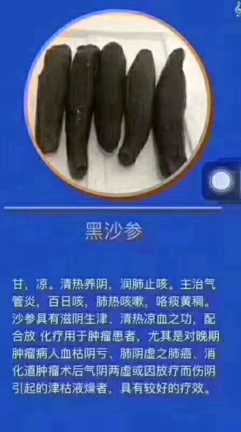 硇洲天然乌沙参