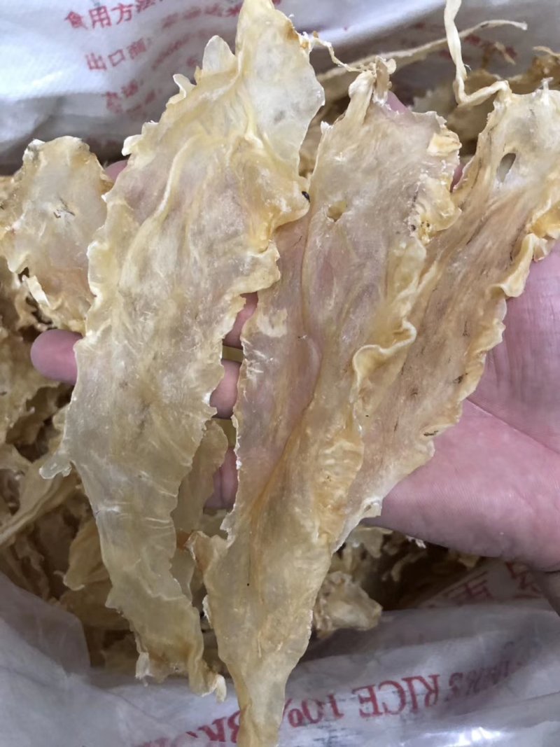 鳕鱼胶