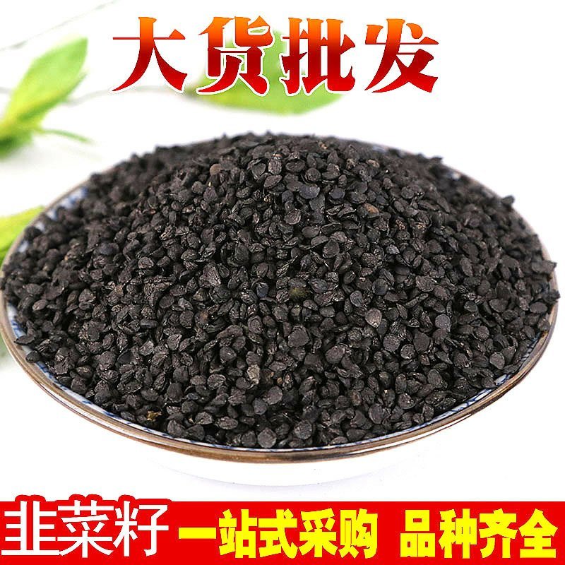 韭菜子韭菜籽生熟韭菜子供应上千中药材一站购