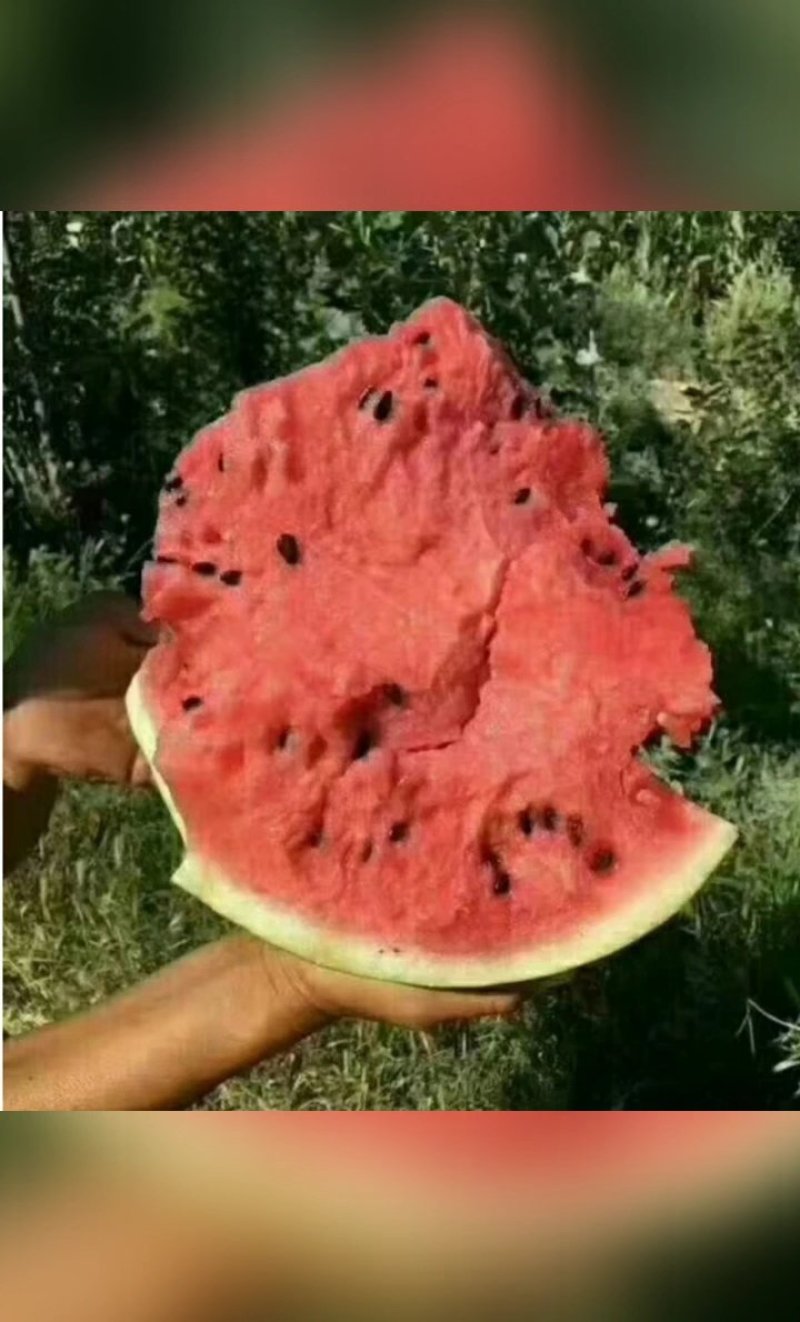 西瓜代收，代办