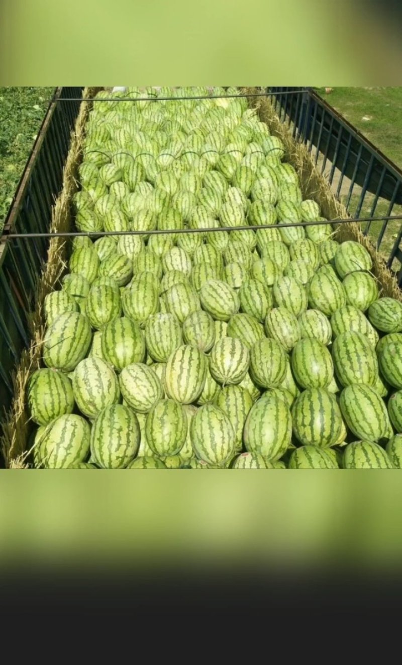 西瓜代收，代办