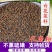 白花菜籽白花菜子供应上千种中药材一站购