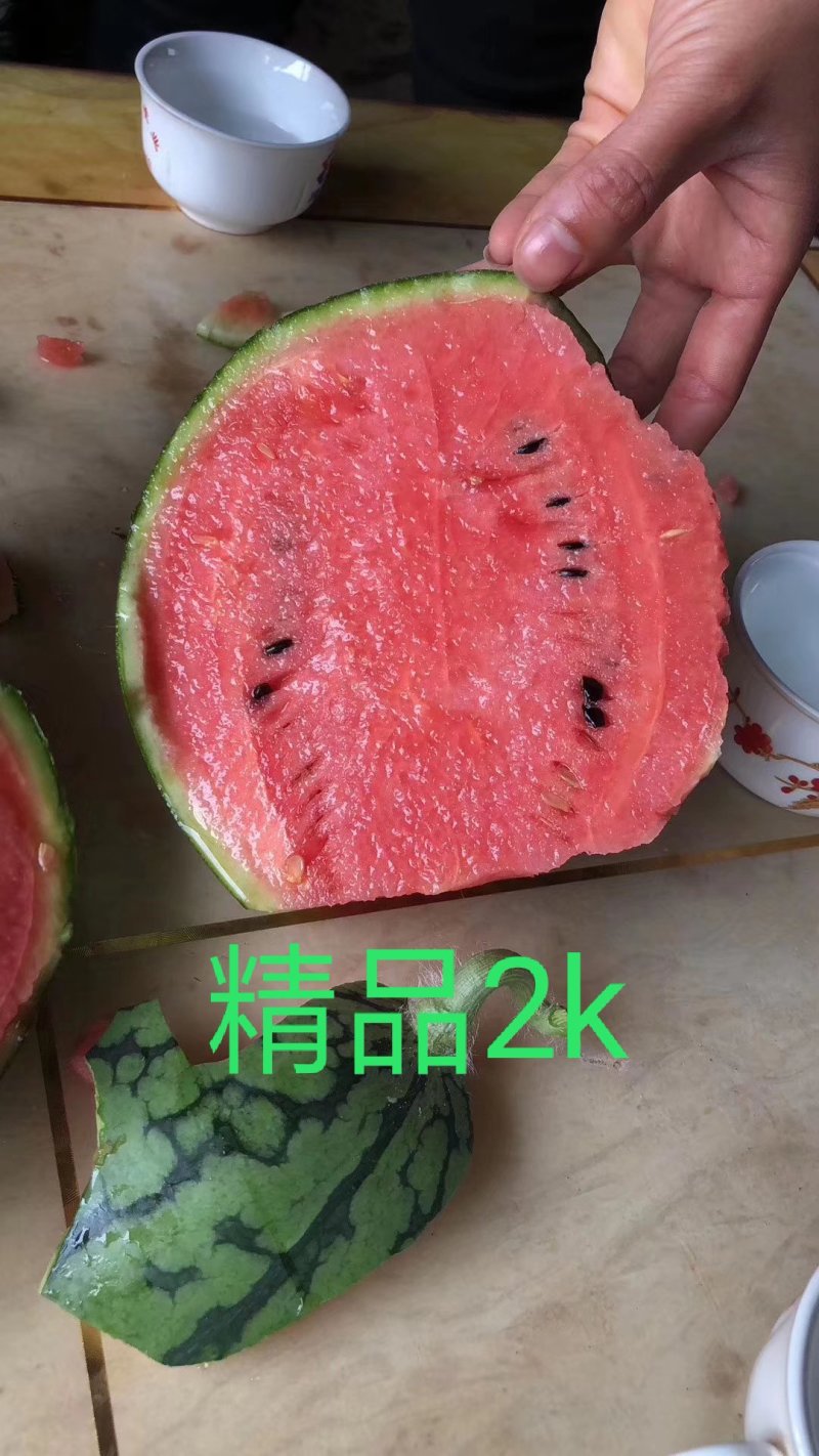 早春红玉西瓜一亩田最有诚信的保证商家，质量能保证！