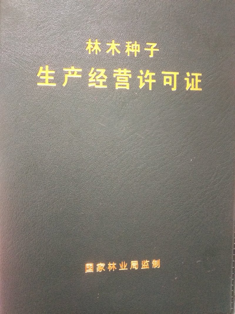 纯红桔种子，农户果园，自产自销，原价直供，货真价美，