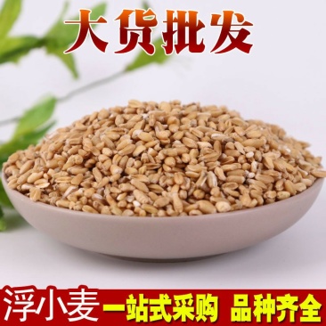 浮小麦供应上千种中药材一站购