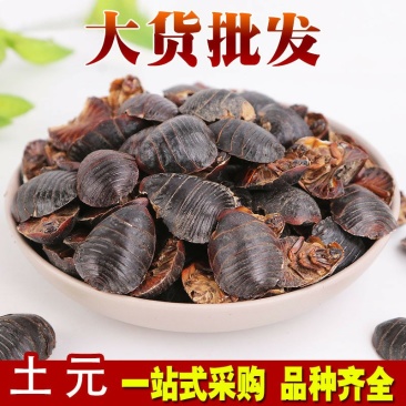 清水土鳖虫土元供应上千种中药材一站购批发零售