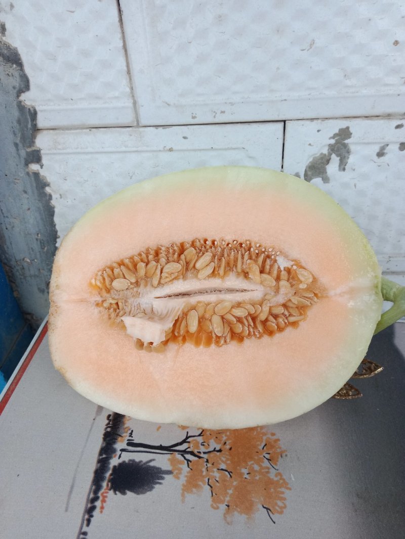 东方蜜