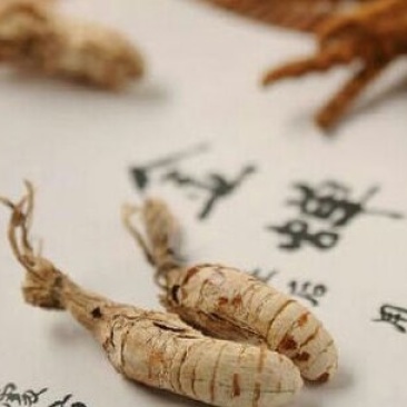 金蝉花蝉花无杂质欢迎全国药店中医馆详谈