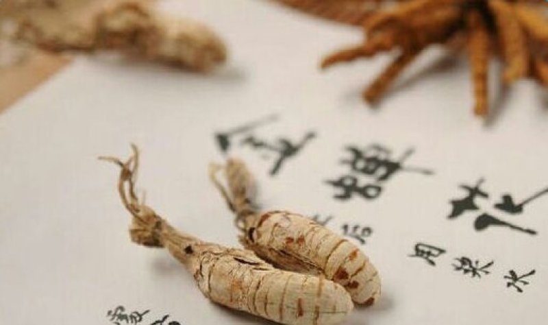 金蝉花蝉花无杂质欢迎全国药店中医馆详谈