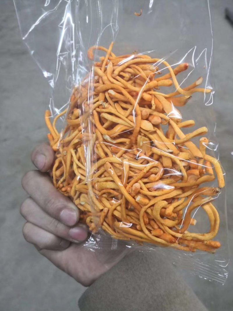 金针菇