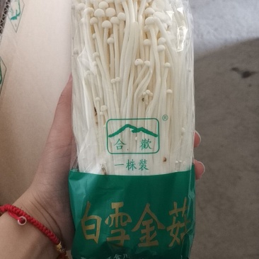 金针菇