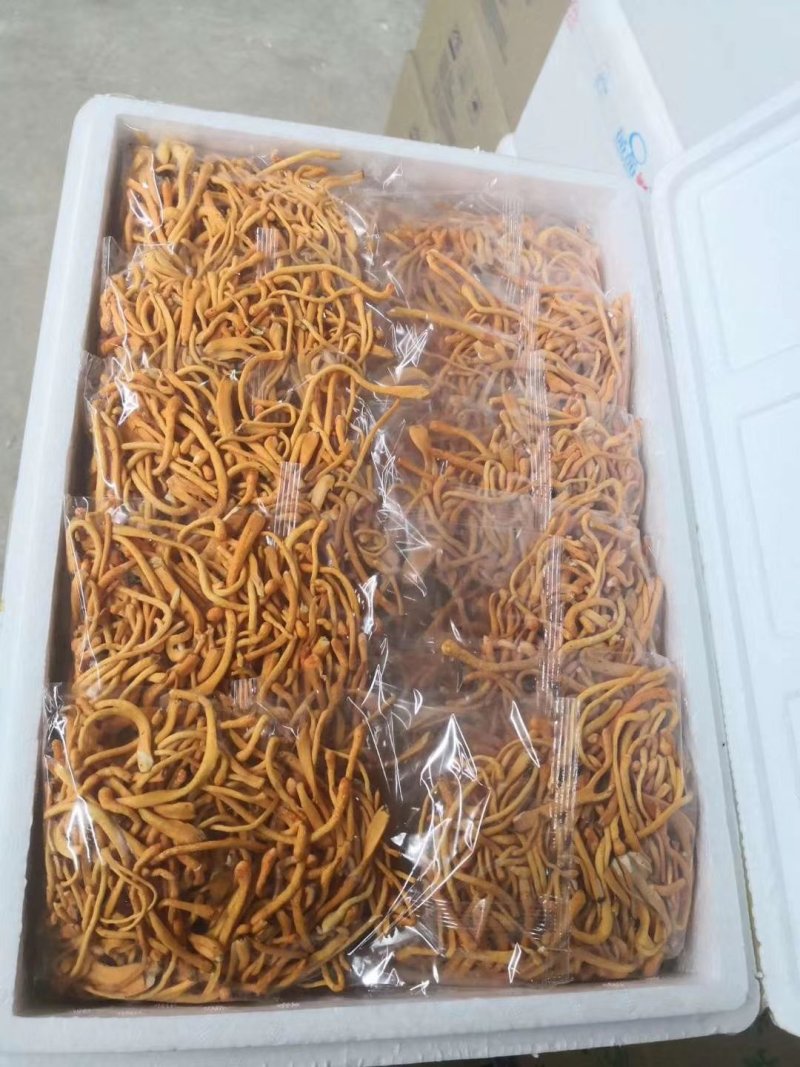 金针菇