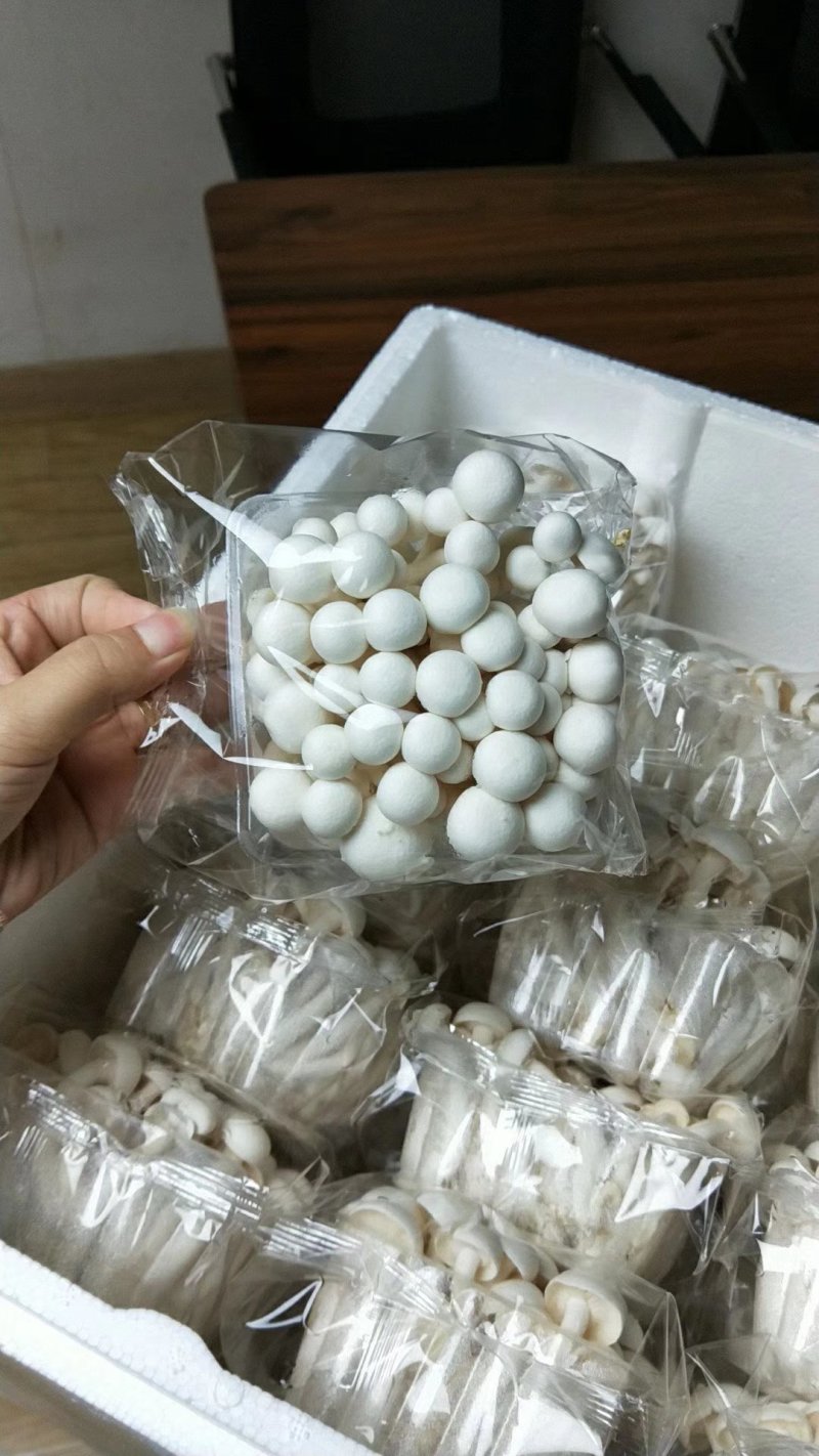 金针菇