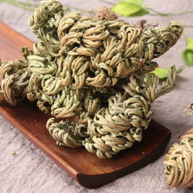 卷柏九死还魂草复活草不死草供应上千种中药材一站购