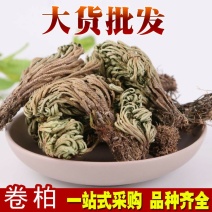 卷柏九死还魂草复活草不死草供应上千种中药材一站购