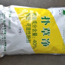 长兴40%扑草净水稻田谷子地阔叶杂草除草剂鱼塘浮萍
