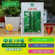 杂交黄瓜种子中农18油亮型耐高温高湿早熟密刺高产抗病强
