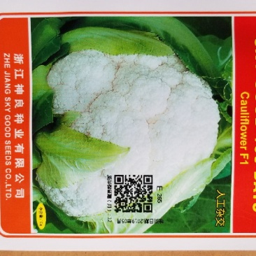 一代交配/神良白花菜种子