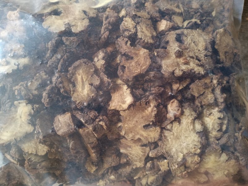 各种规格川芎，欢迎新老客户前来洽谈订购